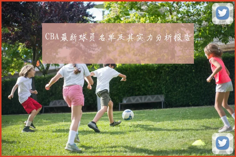 CBA最新球员名单及其实力分析报告