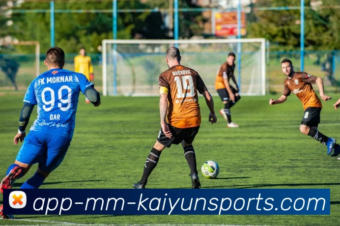 开云体育平台生态图